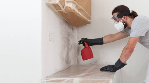 Professional Bathroom Mold Removal technician working in Hopkinton, MA